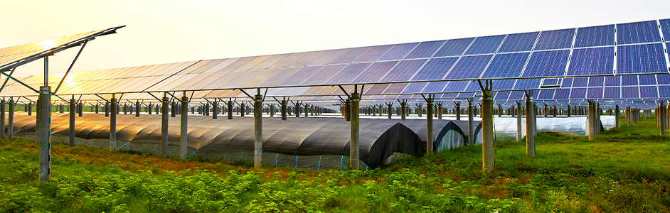 Agricultural Solar panel